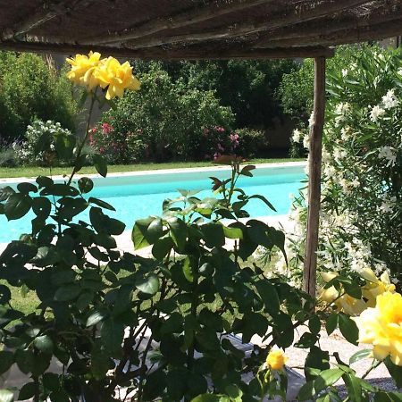 Agriturismo Lupo Vecchio Grosseto Exterior photo