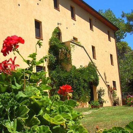 Agriturismo Lupo Vecchio Grosseto Exterior photo